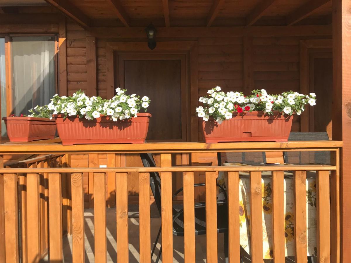Къщи За Гости Михайлови Sapareva Banya Exterior foto